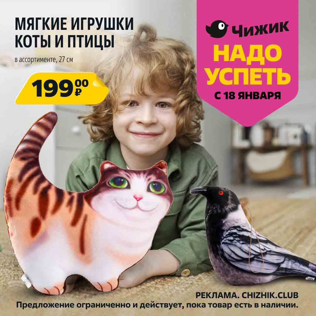 мягкие игрушки, коты и птицы, 27 см., за 199 рублей шт.
